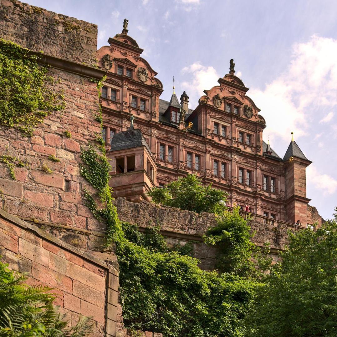 Odenwaldferien Zur Sattelkammer Schonbrunn (Baden-Wurttemberg) Exterior foto